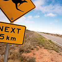 Eine Landstraße in Australien. Im Vordergrund steht ein gelbes Schild mit einem Känguru darauf.