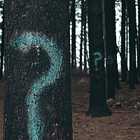 Fragezeichen in einem dunklen Wald Fragezeichen  neonfarben auf Bäume gezeichnet